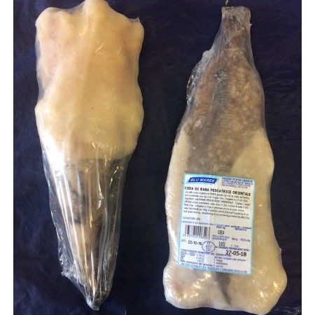 CODA RANA PESC   500/1000